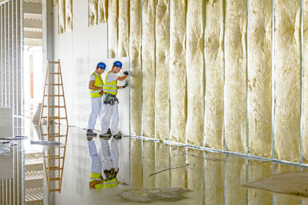 Best Commercial Insulation in Fort Benton, MT